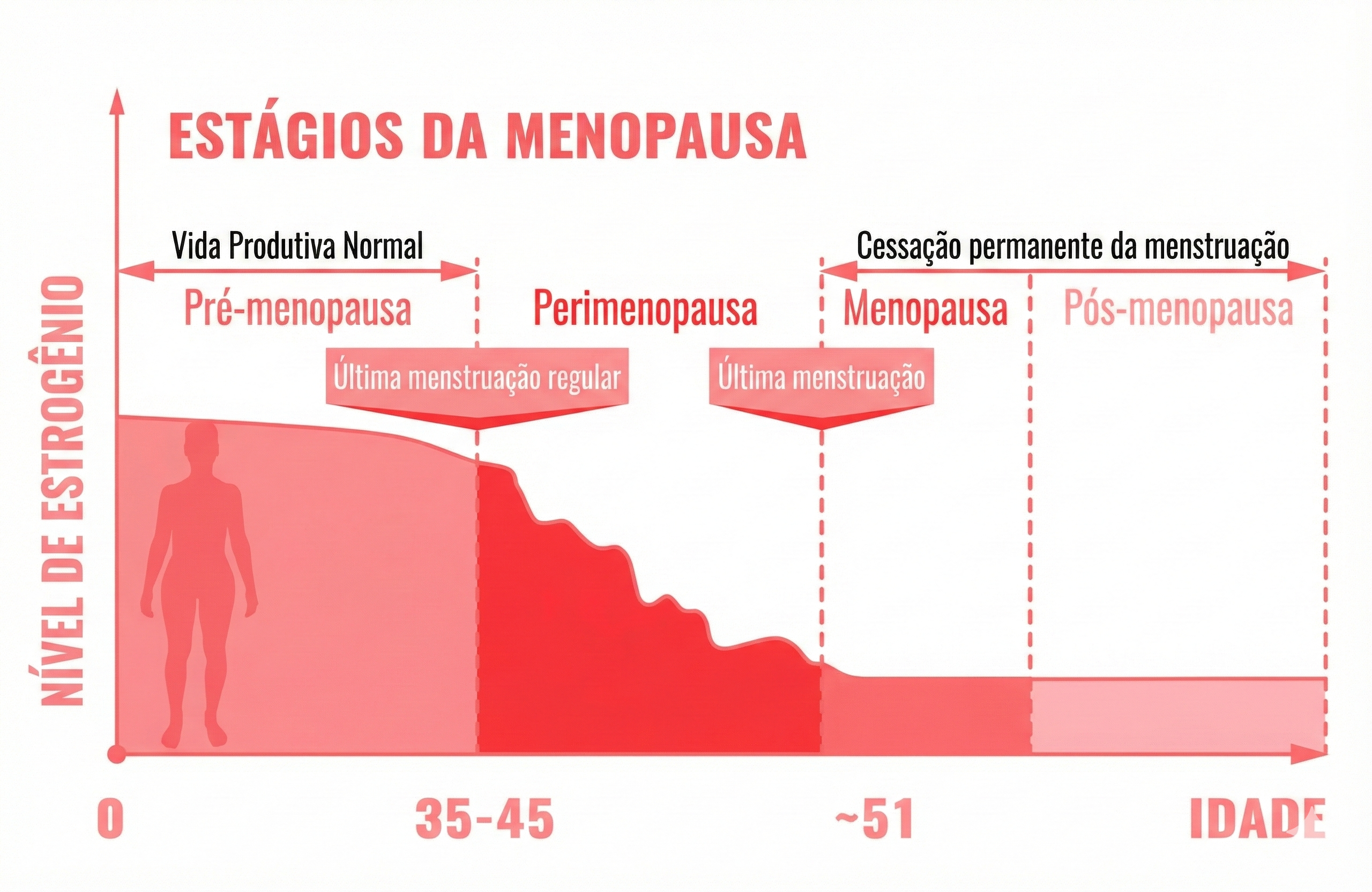 Estágios da Menopausa 