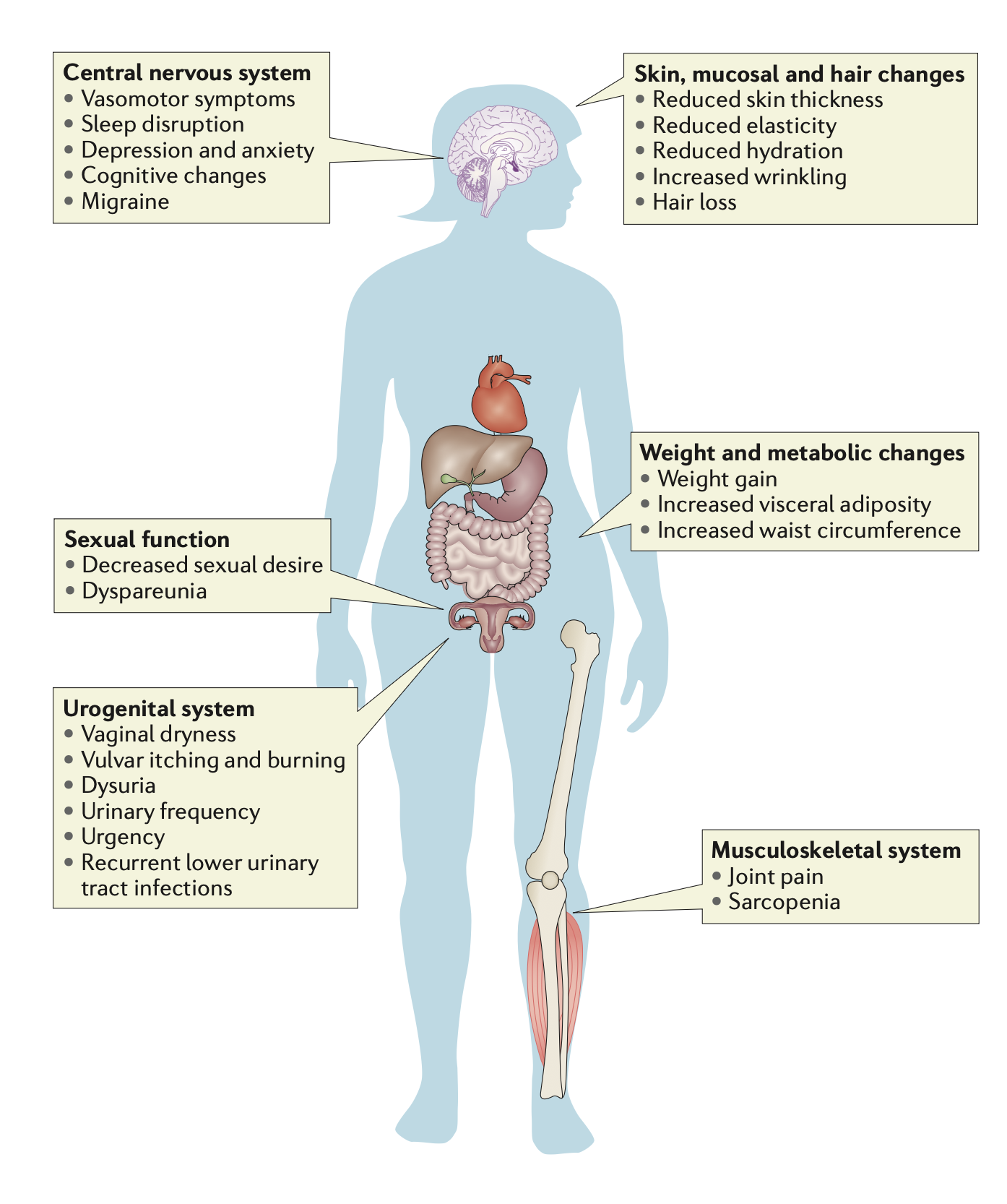Sintomas da menopausa