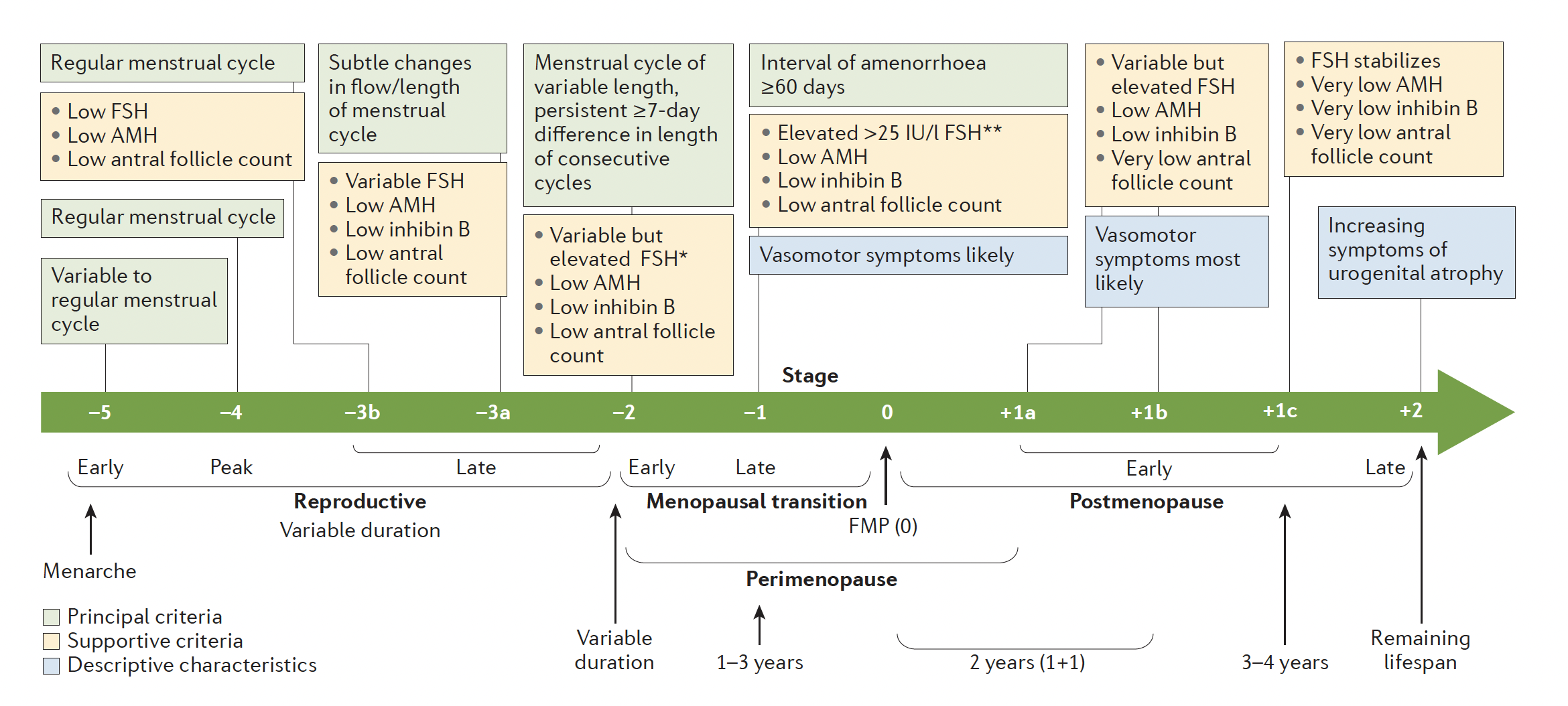 Estágios da Vida Reprodutiva Feminina 