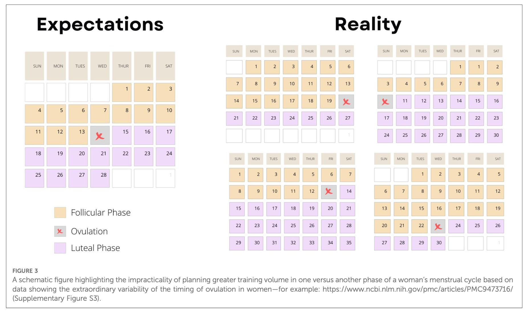 Captura de Tela 2025-12-02 às 09.38.27