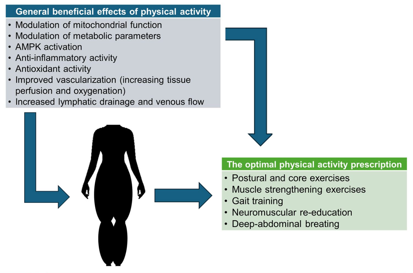 Captura de Tela 2025-12-19 às 13.59.21
