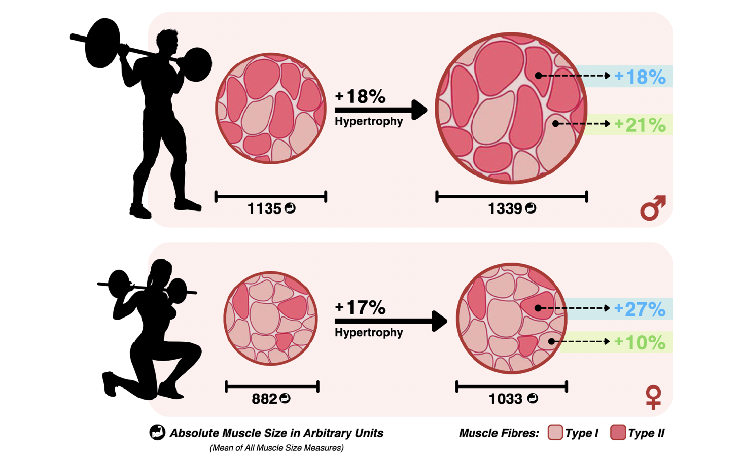Captura-de-Tela-2024-05-06-as-14.54.27-e1715018145879