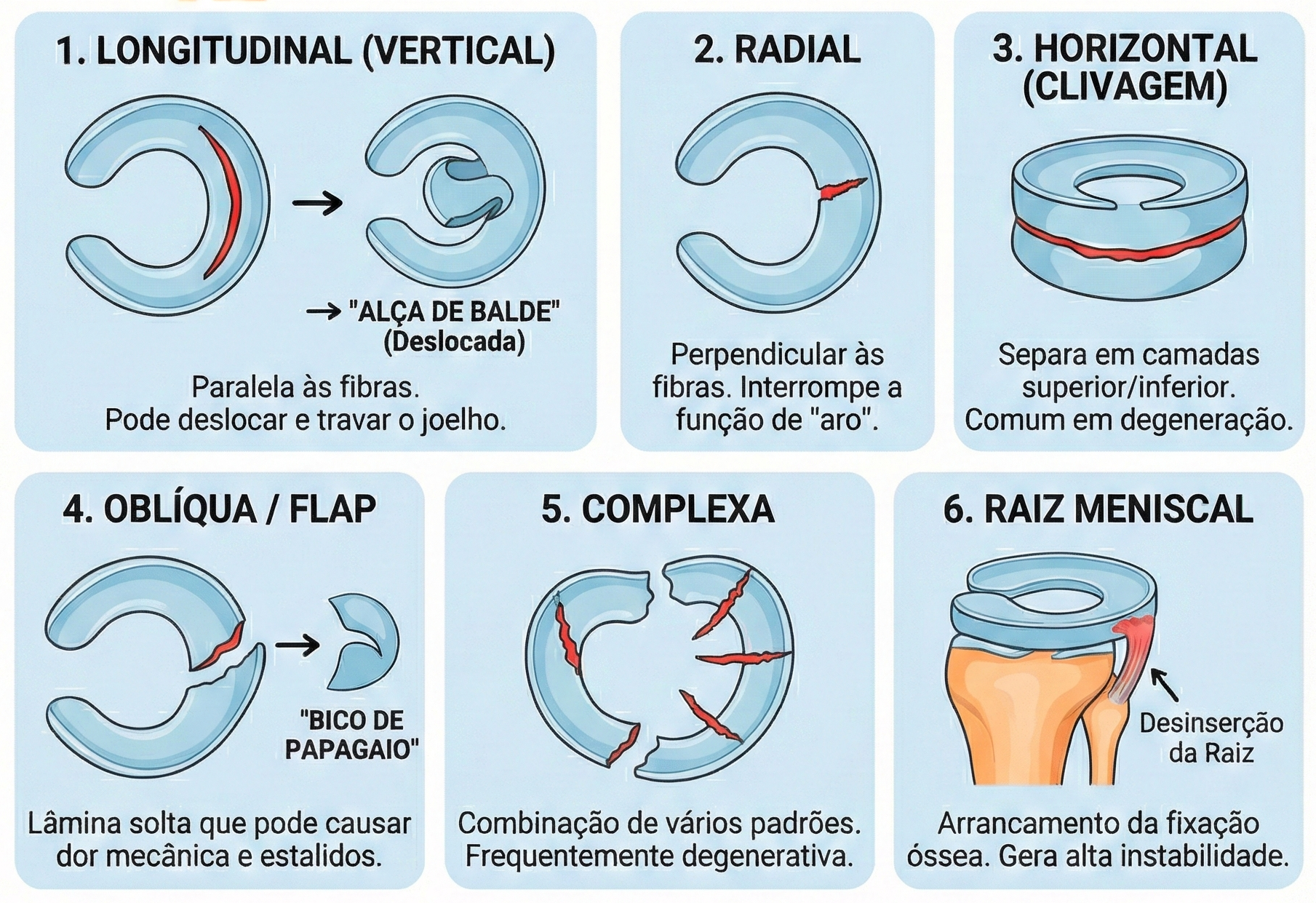 Gemini_Generated_Image_twja62twja62twja