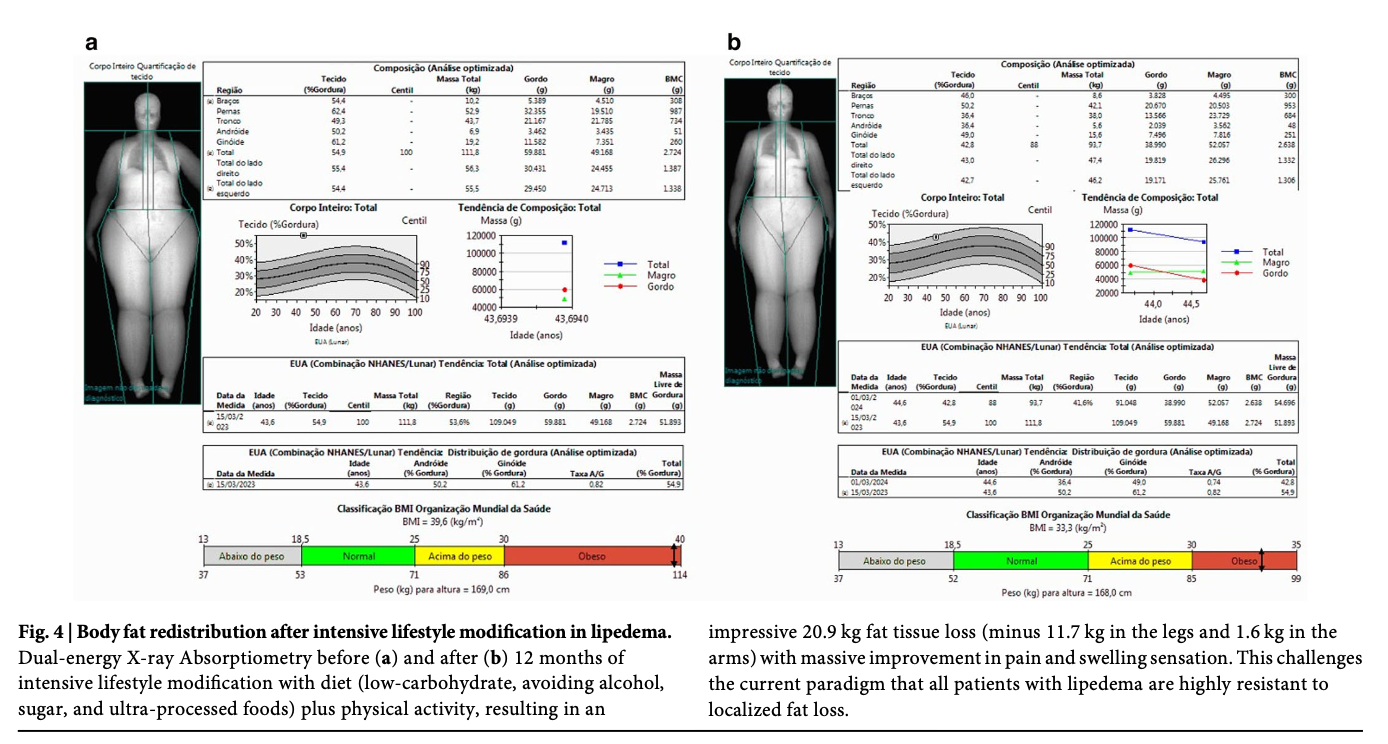Captura de Tela 2026-01-26 às 12.46.29