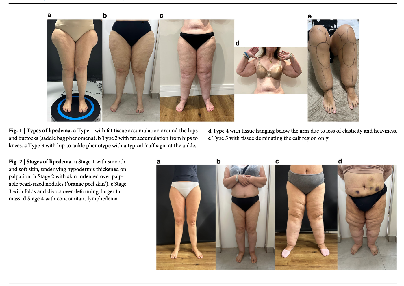 Captura de Tela 2026-01-26 às 12.46.18