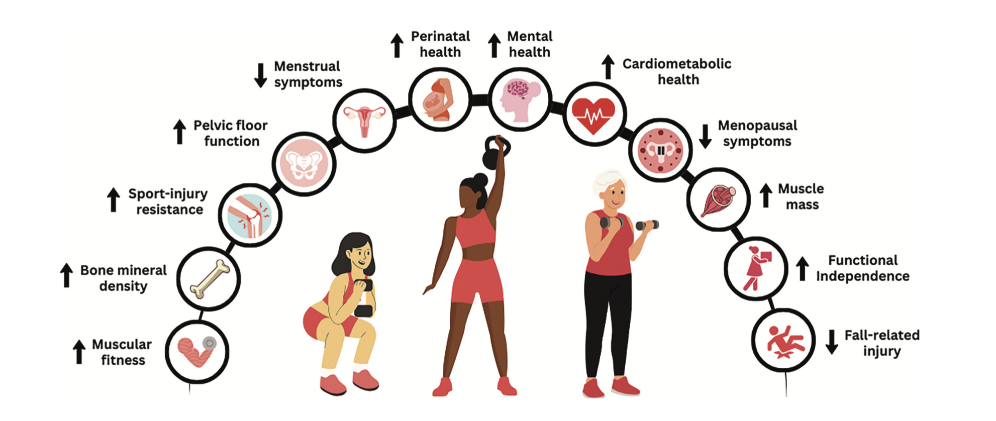 Captura de Tela 2026-02-21 às 11.20.23