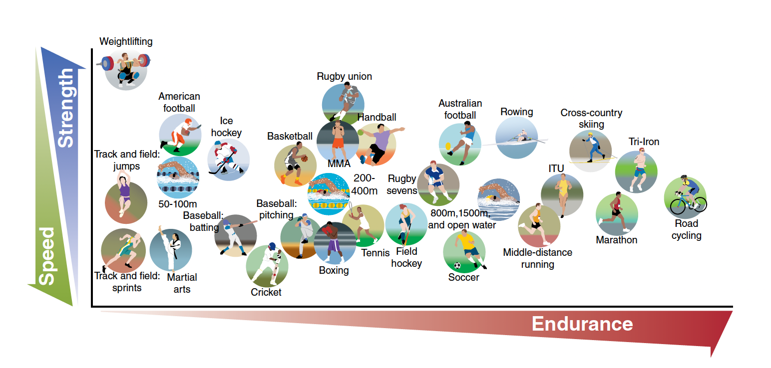 Captura de Tela 2026-02-24 às 11.53.05