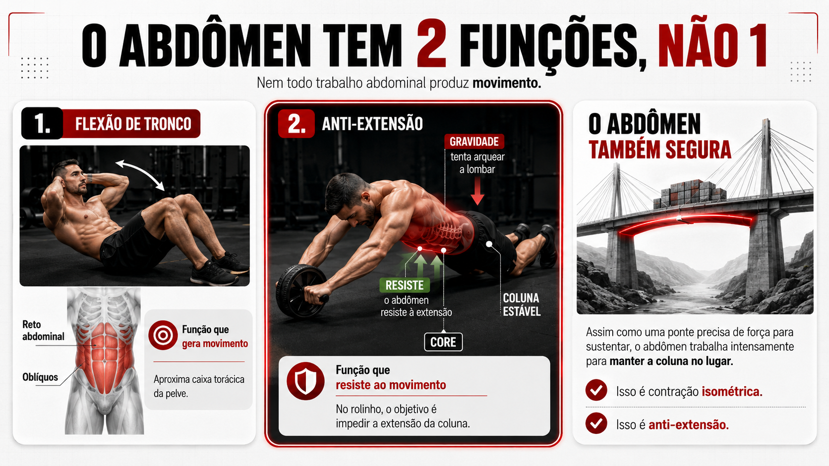 Funcões do Abdômen