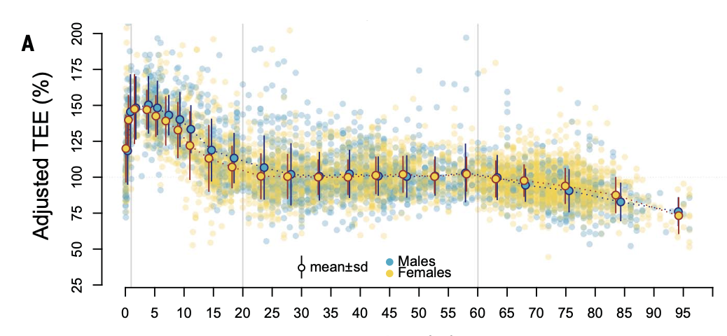 Captura de Tela 2025-12-21 às 21.03.02