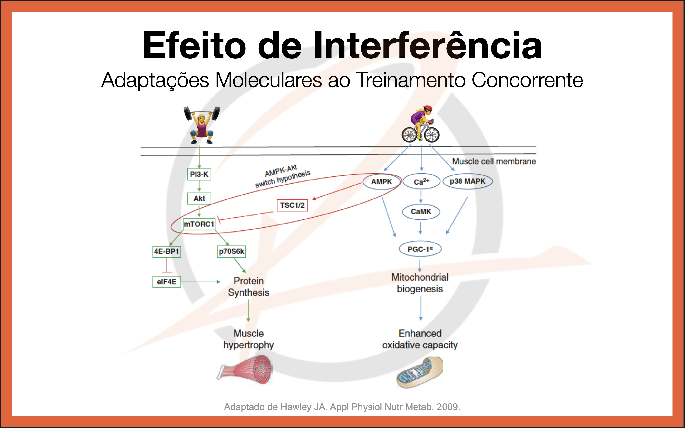 Captura de Tela 2026-03-10 às 23.00.08