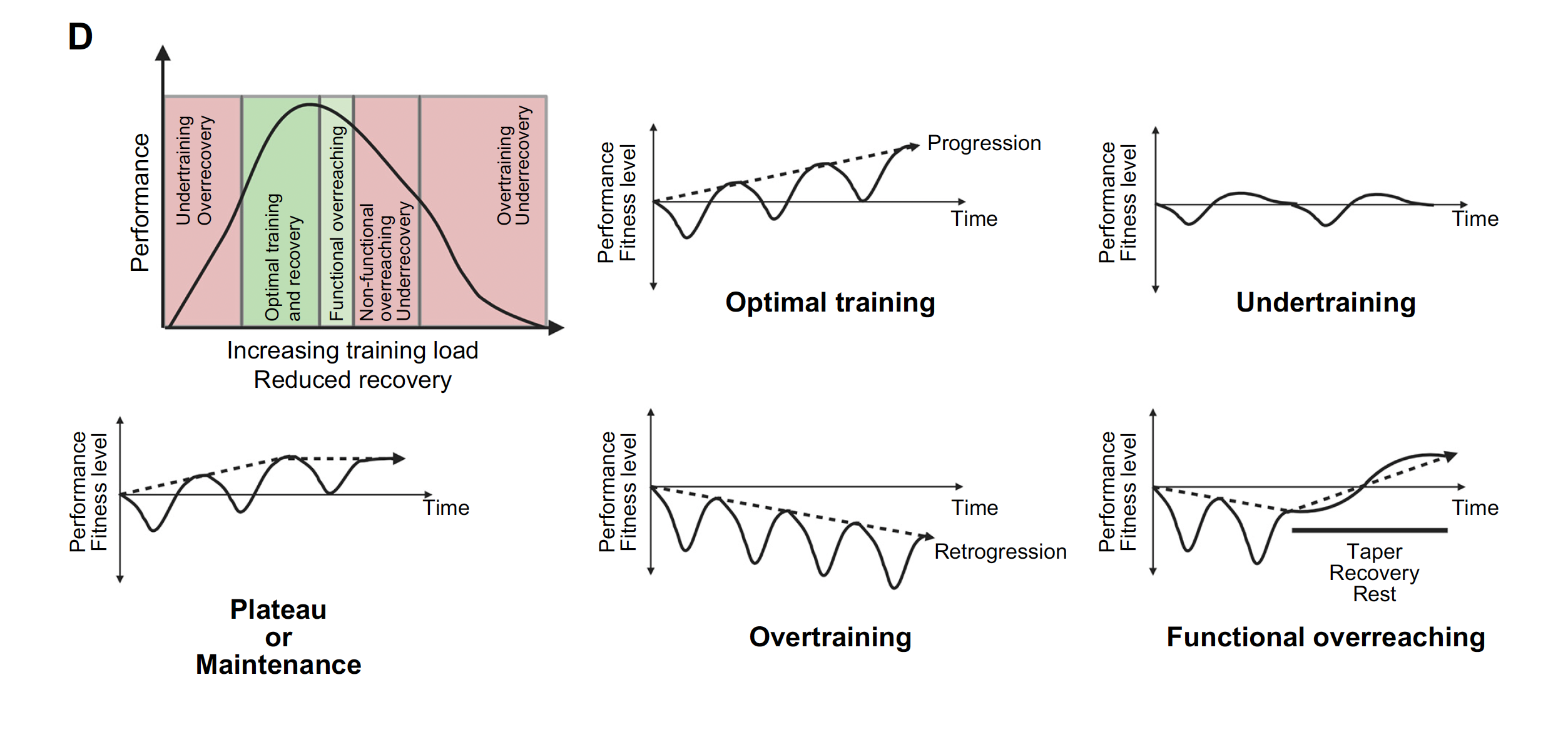 Captura de Tela 2023-07-05 às 10.39.51