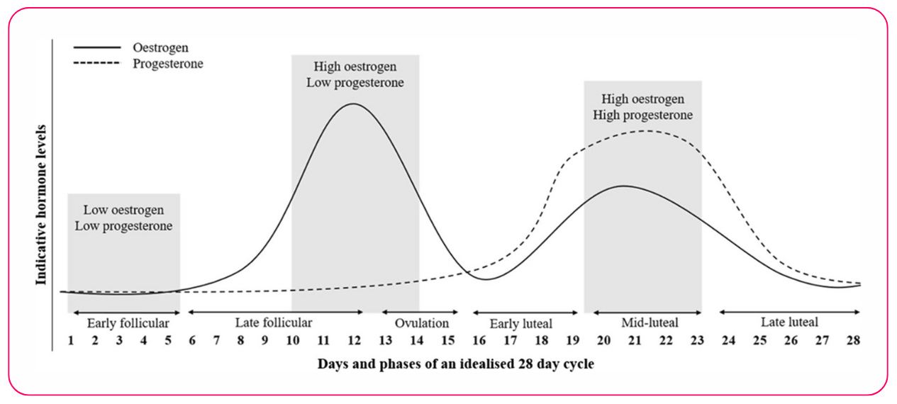 Blog TreinoAI - Capa (1)