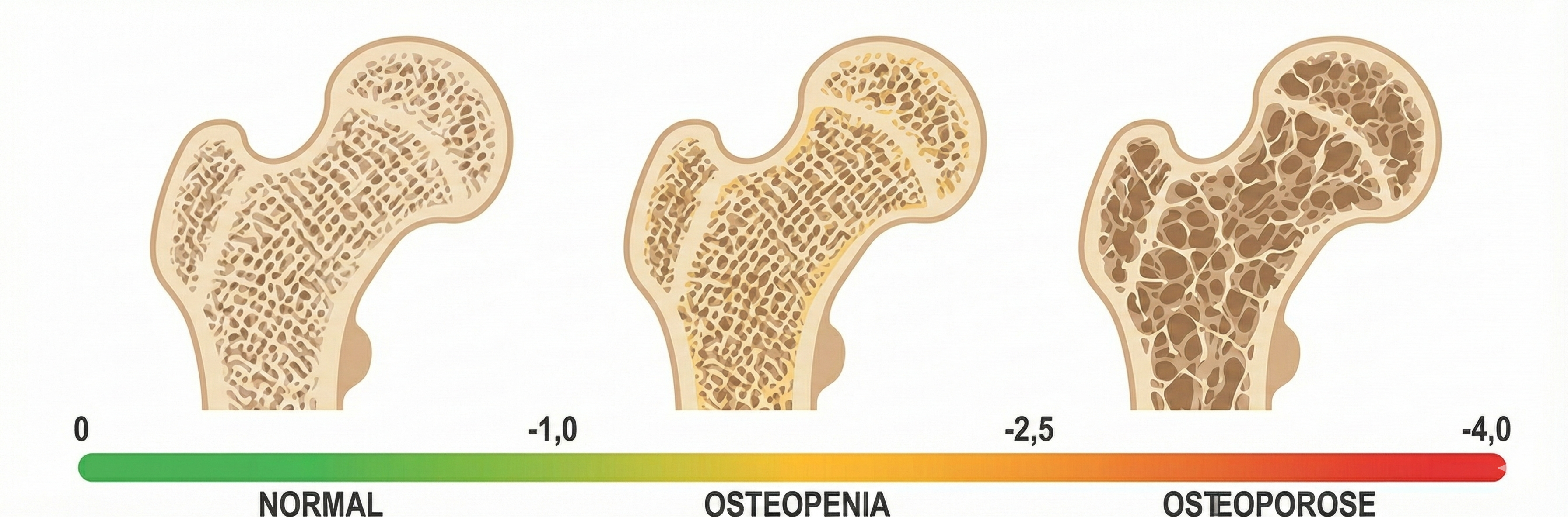 Gemini_Generated_Image_3kfivw3kfivw3kfi