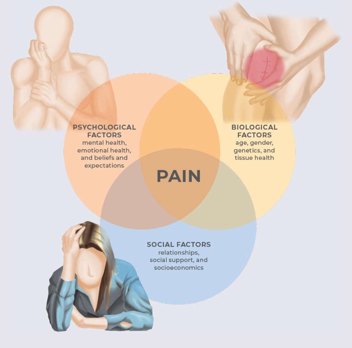Captura de Tela 2026-01-28 às 21.53.31