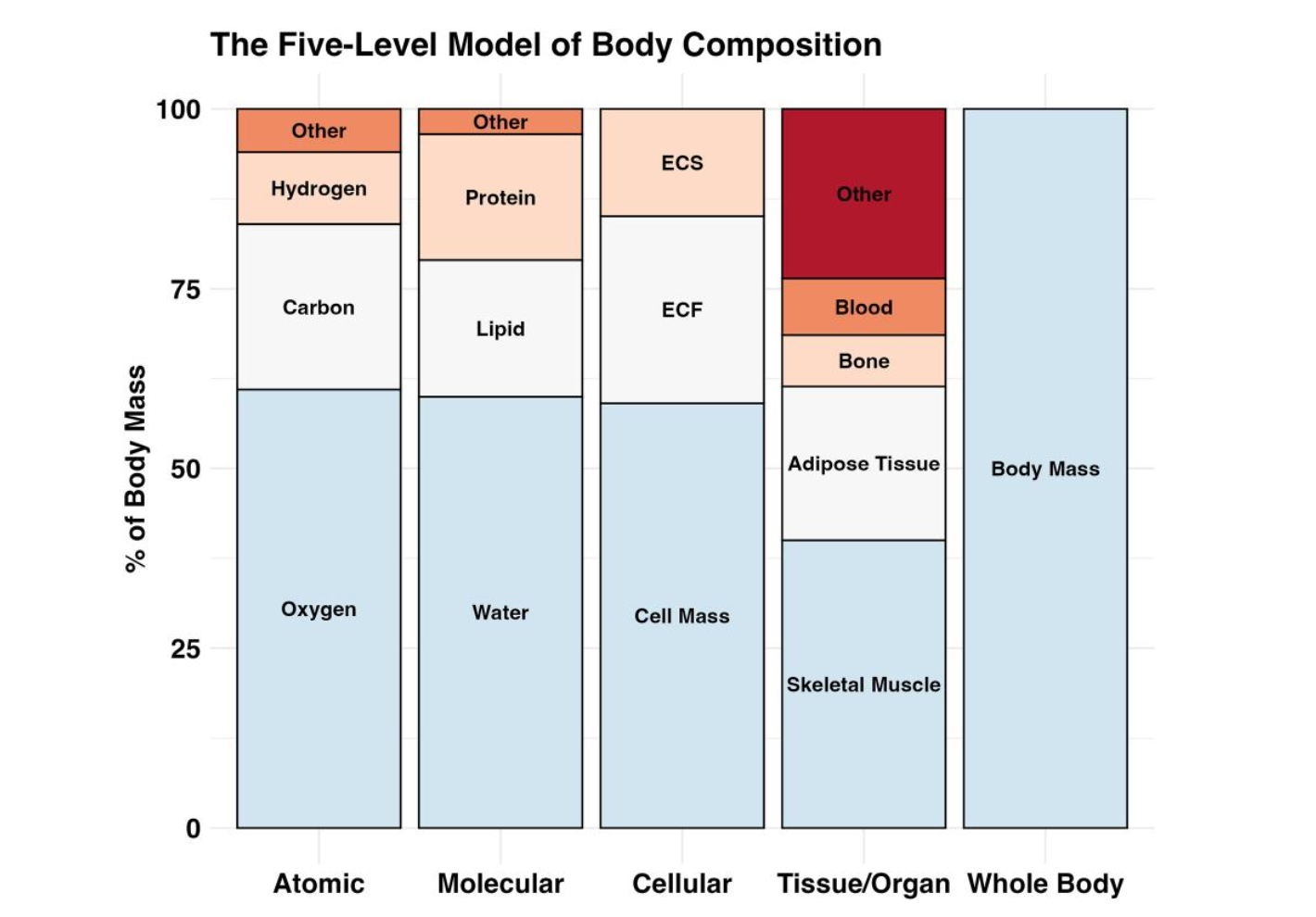 Captura de Tela 2026-02-02 às 22.04.34